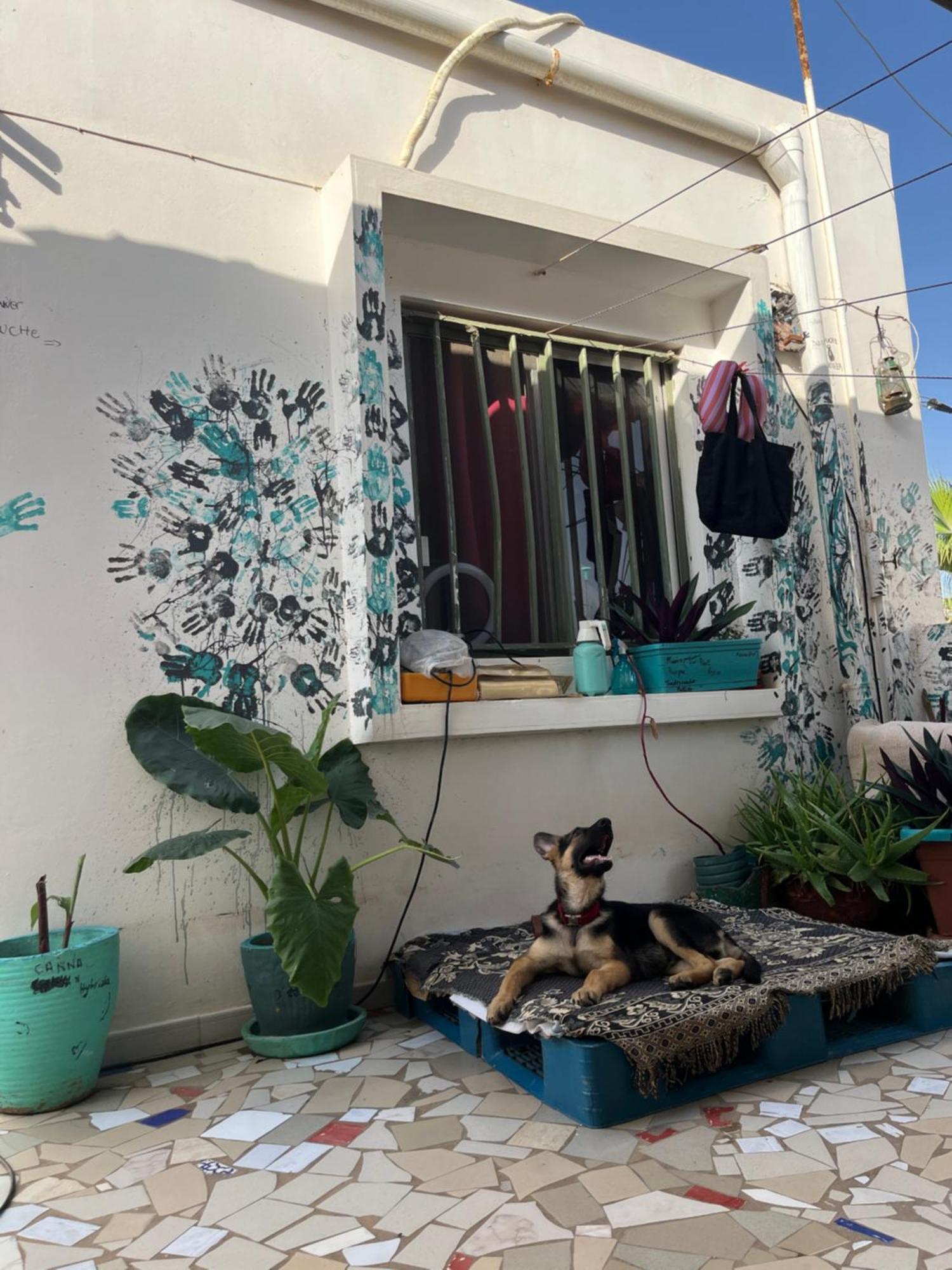 Dar Dyali Rooftop ⁿᵉᵃʳ ⁿᵍᵒʳ ᵇᵉᵃᶜʰ ᵃⁿᵈ ⁱˢˡᵃⁿᵈ Dakar Extérieur photo