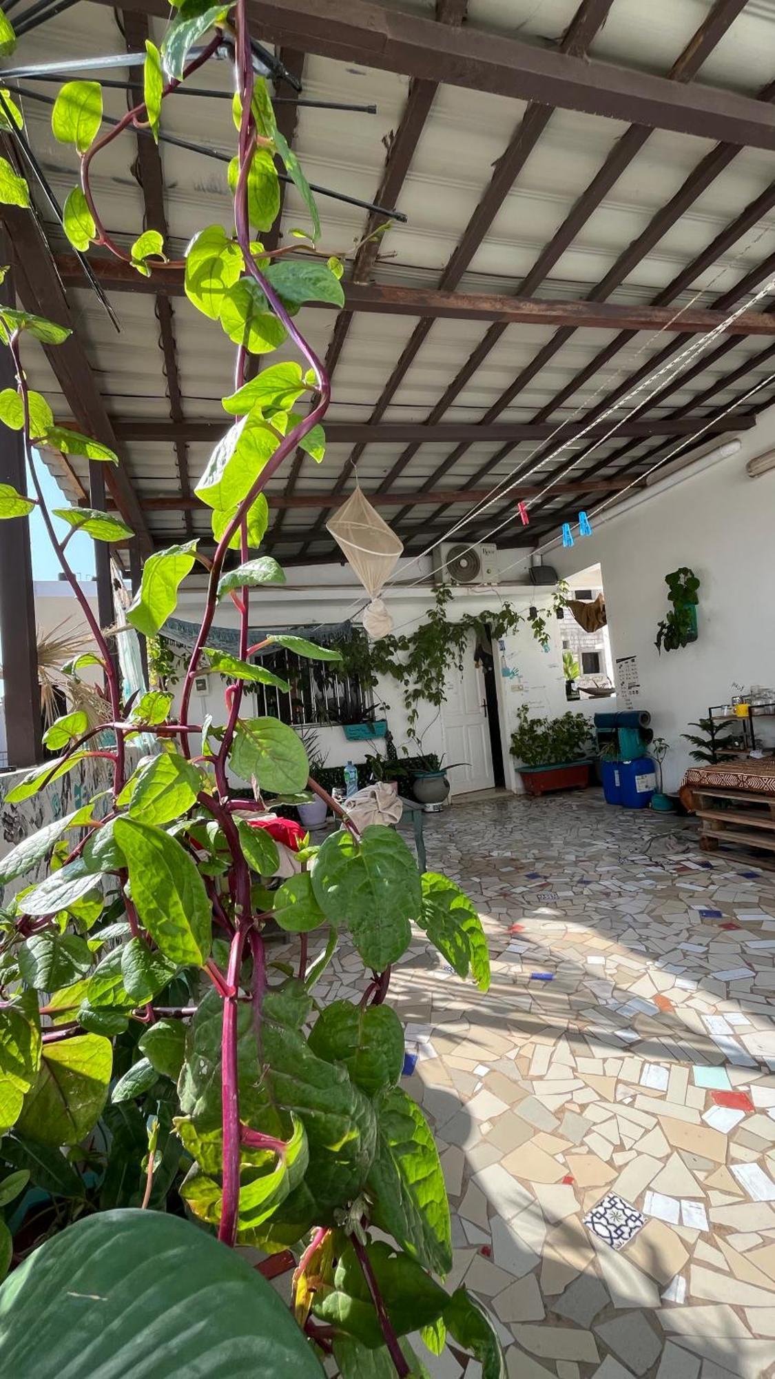 Dar Dyali Rooftop ⁿᵉᵃʳ ⁿᵍᵒʳ ᵇᵉᵃᶜʰ ᵃⁿᵈ ⁱˢˡᵃⁿᵈ Dakar Extérieur photo