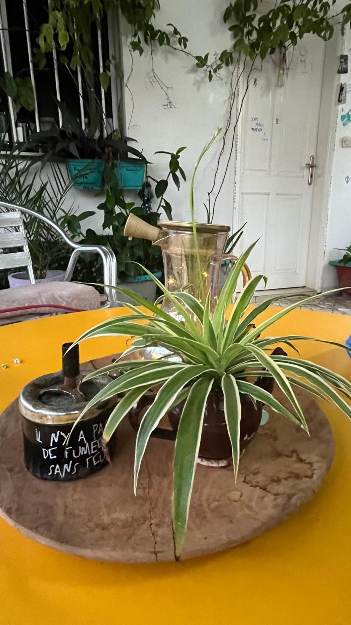 Dar Dyali Rooftop ⁿᵉᵃʳ ⁿᵍᵒʳ ᵇᵉᵃᶜʰ ᵃⁿᵈ ⁱˢˡᵃⁿᵈ Dakar Extérieur photo